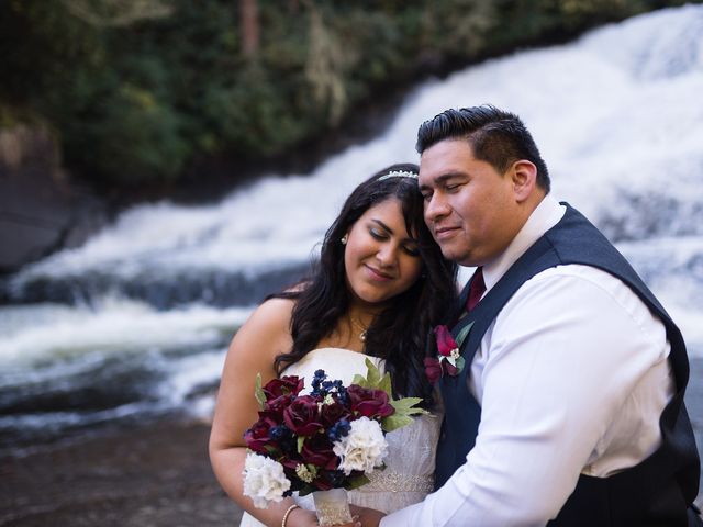 Luis  and Minssy &apos;s Wedding in Asheville, North Carolina 1
