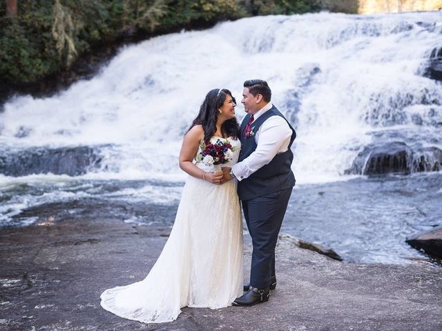 Luis  and Minssy &apos;s Wedding in Asheville, North Carolina 6