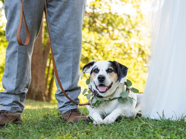 Seth and Gina&apos;s Wedding in Leicester, North Carolina 29