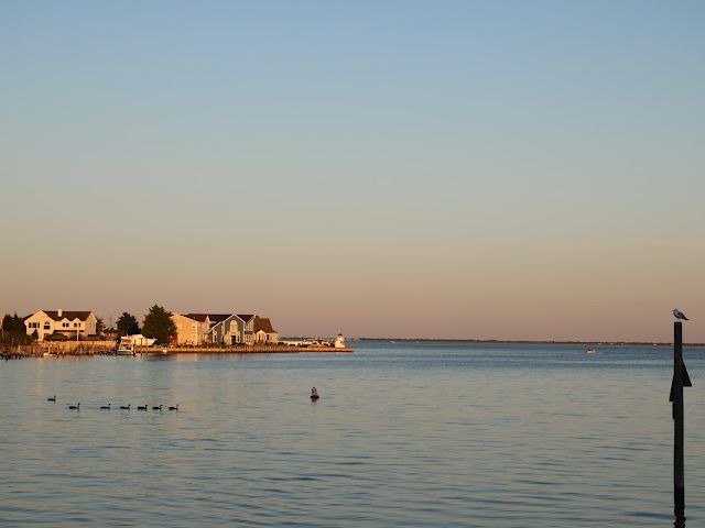 Kevin and Megan 's Wedding in Massapequa, New York 12