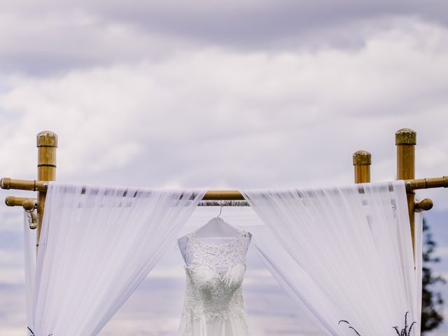 Nathan and Hadassah&apos;s Wedding in Wailuku, Hawaii 12