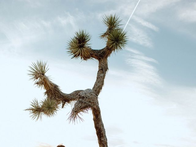 Joseph  and McKenzie 's Wedding in Joshua Tree, California 1