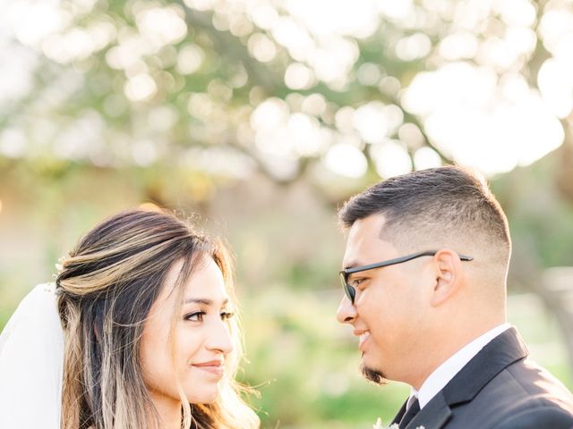 Marcos and Deanna&apos;s Wedding in New Braunfels, Texas 4