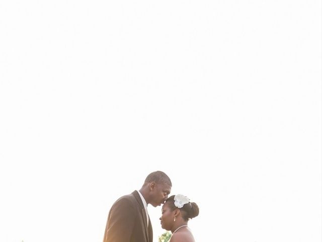 Kalithia and Dwight&apos;s Wedding in Hendersonville, North Carolina 24