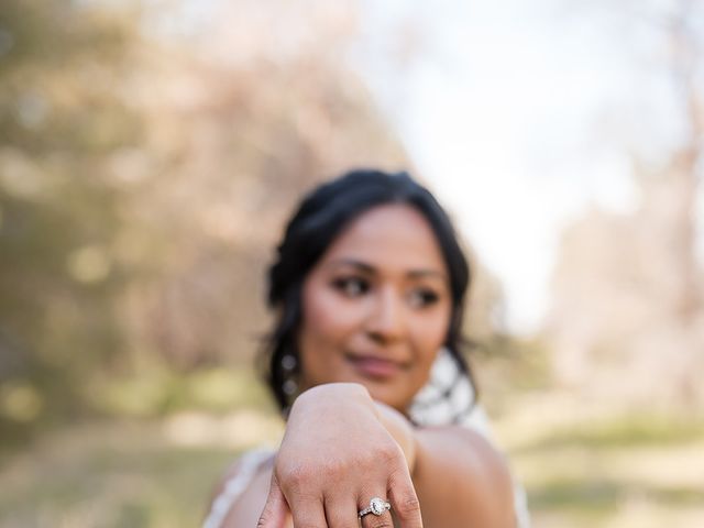 Joshua and Hana's Wedding in Queen Creek, Arizona 16