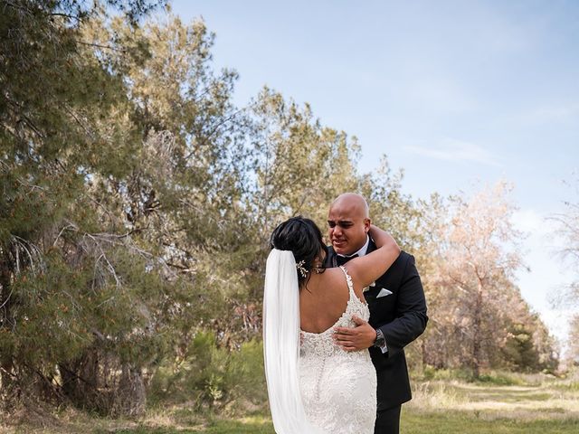 Joshua and Hana&apos;s Wedding in Queen Creek, Arizona 39