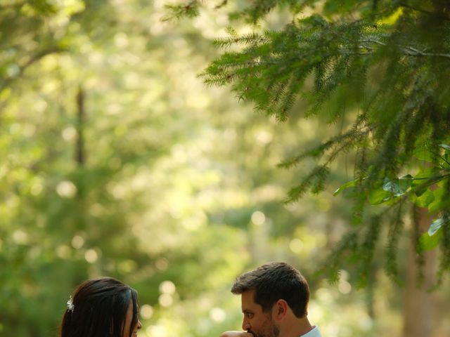 Hailey and Andrew's Wedding in Placerville, California 68