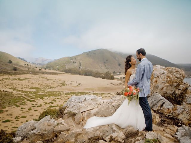 Plamen and Michelle&apos;s Wedding in Big Sur, California 23