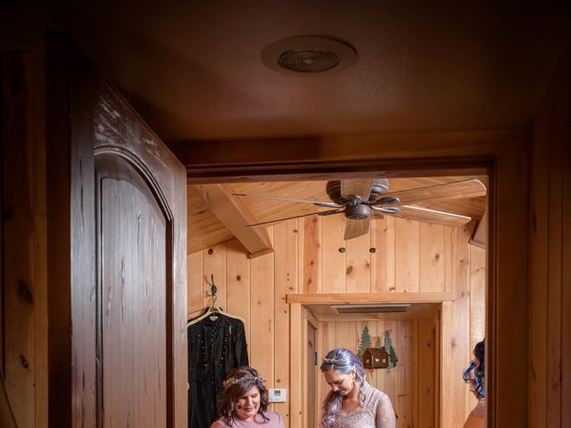 Christopher and Riane&apos;s Wedding in Wrightwood, California 4