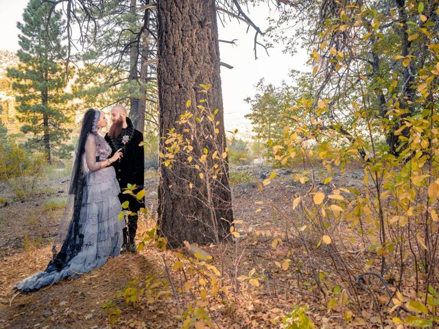 Christopher and Riane&apos;s Wedding in Wrightwood, California 18