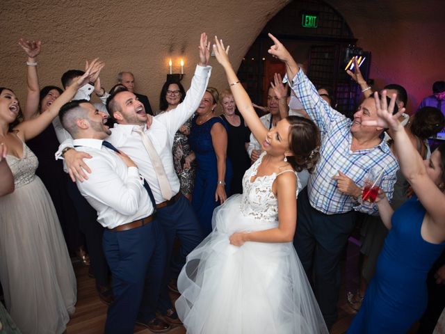 Austin and Lauren&apos;s Wedding in Calistoga, California 58