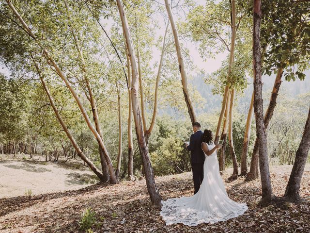 Duncan and Rachel&apos;s Wedding in Geyserville, California 6