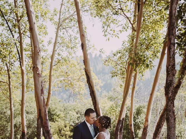 Duncan and Rachel&apos;s Wedding in Geyserville, California 8