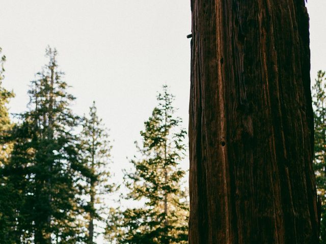 Tuyet and Eric's Wedding in South Lake Tahoe, California 11