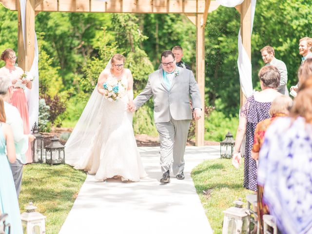 Alicia and Chris&apos;s Wedding in Saint Charles, Missouri 17