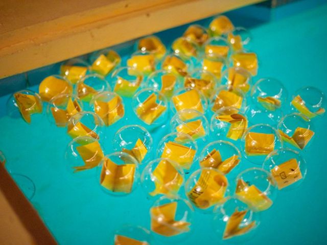Tiffany and Mark's Wedding in North Palm Springs, California 29