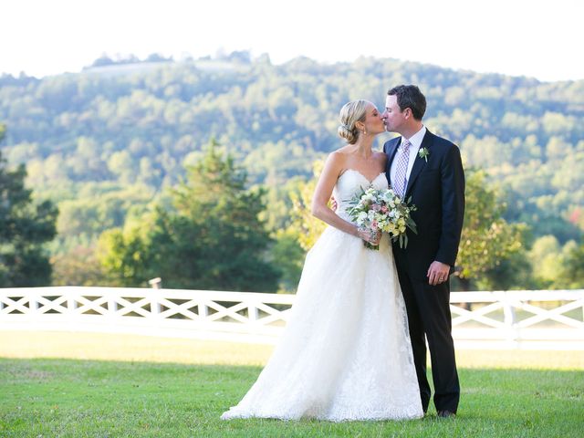 Elizabeth and Bryan&apos;s Wedding in Charlottesville, Virginia 17