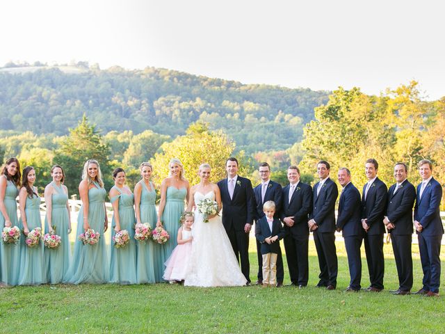Elizabeth and Bryan&apos;s Wedding in Charlottesville, Virginia 18