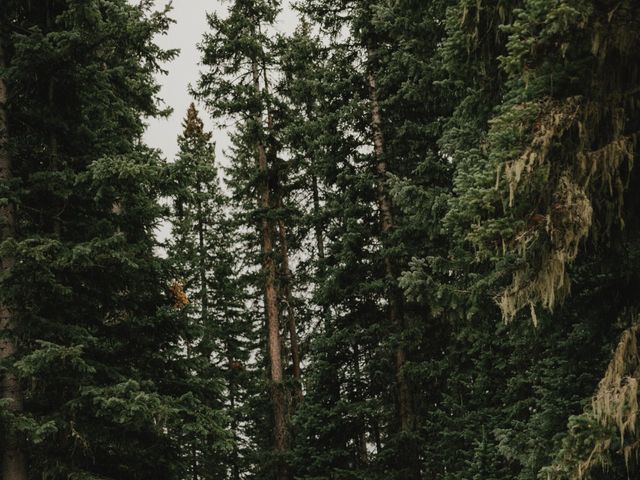 Jordan and Eleanor's Wedding in Durango, Colorado 85