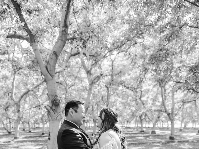 Andrew and Jennifer&apos;s Wedding in Dinuba, California 12