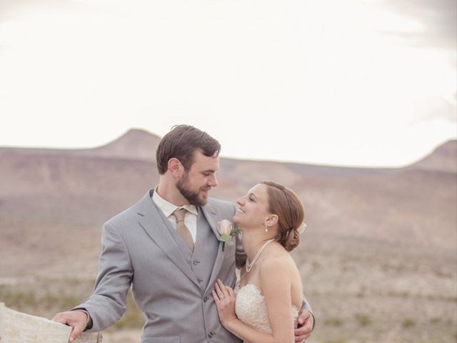 Dani and Andrew&apos;s Wedding in Alamo, Nevada 10