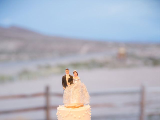 Dani and Andrew&apos;s Wedding in Alamo, Nevada 18