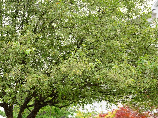 Becca and Matt's Wedding in Watkins Glen, New York 5