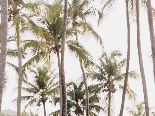 Caden and Madison's Wedding in Rio Grande, Puerto Rico 44