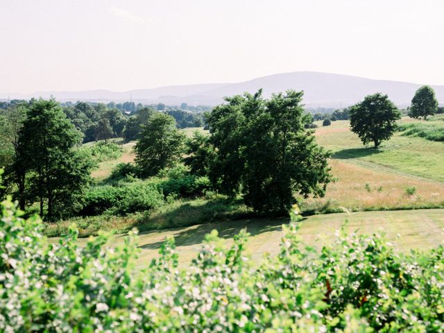 Erik and Emily&apos;s Wedding in Myersville, Maryland 10