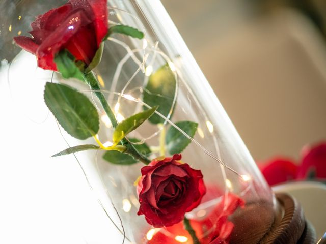 Anthony and Emily's Wedding in Islip, New York 12