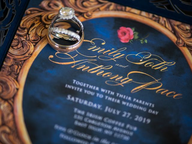 Anthony and Emily's Wedding in Islip, New York 32