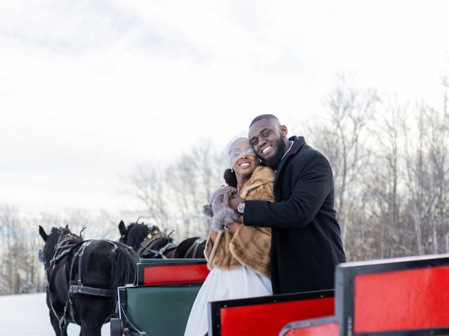 Iyin and Elena&apos;s Wedding in Chittenden, Vermont 23