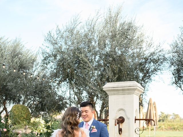 Jeff and Connie&apos;s Wedding in Napa, California 138