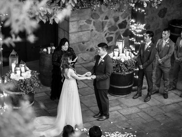 Jeff and Connie&apos;s Wedding in Napa, California 196