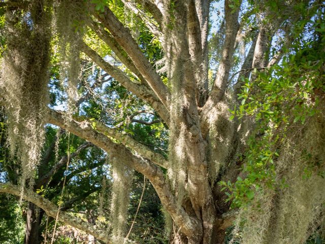 Esteban and Maya&apos;s Wedding in Fort Pierce, Florida 18