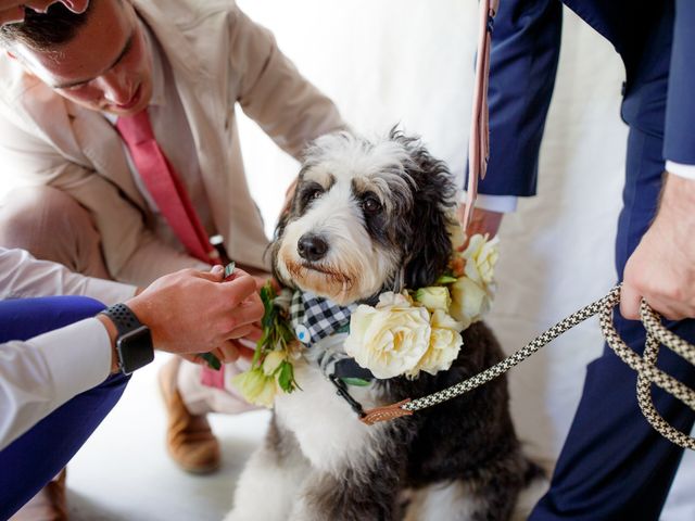 Emily and Greg&apos;s Wedding in Cloverdale, California 8