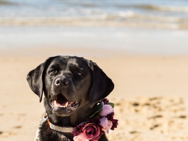 Emily and John&apos;s Wedding in Cape May, New Jersey 4