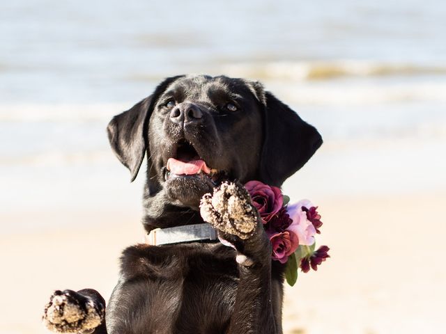 Emily and John&apos;s Wedding in Cape May, New Jersey 9