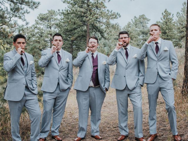Andy and Lindsey&apos;s Wedding in Evergreen, Colorado 12