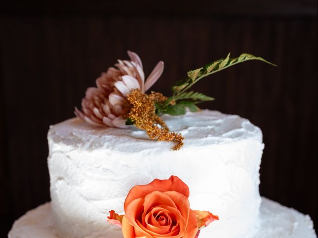 Taneill and Seth's Wedding in Skaneateles, New York 36