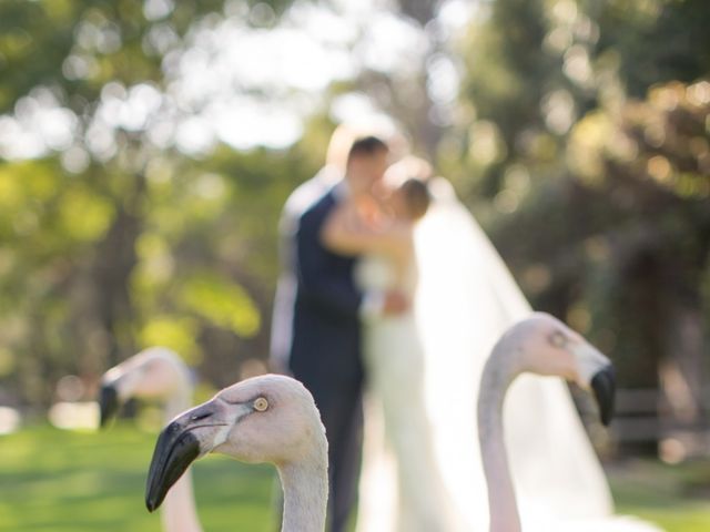 Adam and Carie&apos;s Wedding in Santa Barbara, California 6