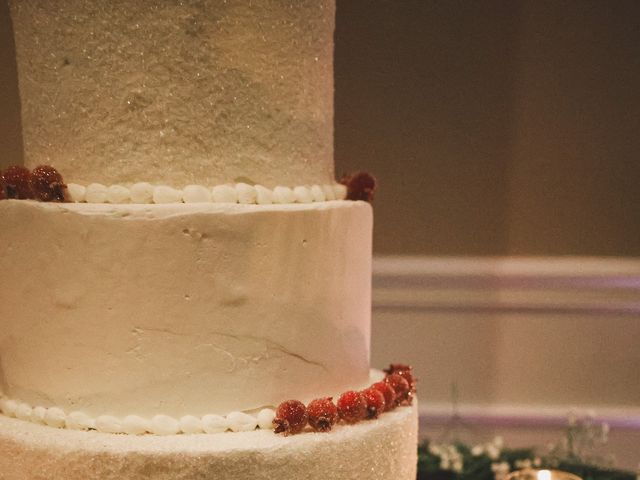 Skylar and Chloe&apos;s Wedding in Jamestown, New York 51