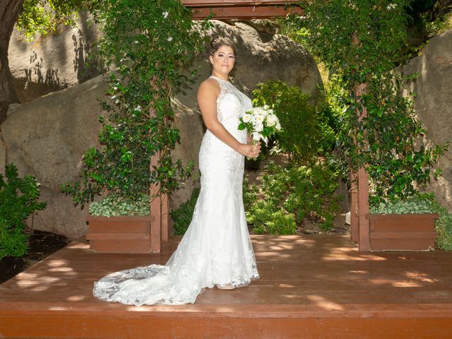 George and Amanada&apos;s Wedding in Temecula, California 41