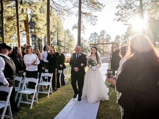 James and Victoria&apos;s Wedding in Pinetop, Arizona 10