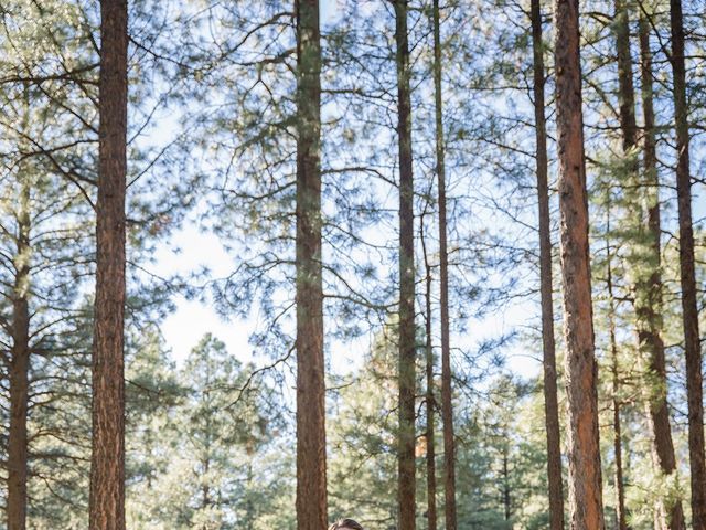 James and Victoria&apos;s Wedding in Pinetop, Arizona 17