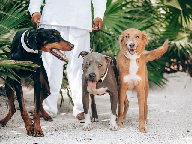 Roberto and Veronica's Wedding in Tulum, Mexico 160