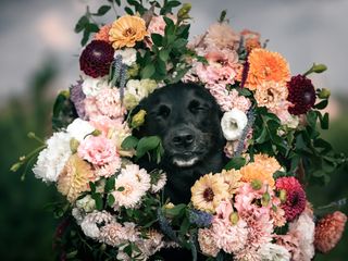Coral &amp; Nathan's wedding 1