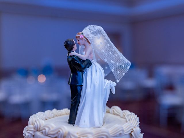 Danielle and Mason's Wedding in Bolingbrook, Illinois 26