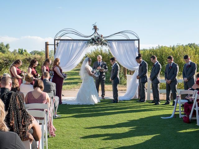 Bryan and Molly&apos;s Wedding in Queen Creek, Arizona 55