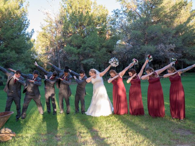 Bryan and Molly&apos;s Wedding in Queen Creek, Arizona 2